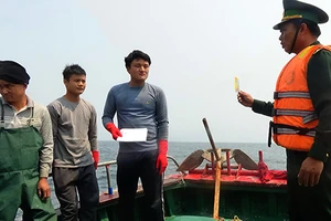 5 loại tàu Trung Quốc hay vào ngư trường VN