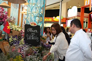 Đại gia Thái săn tìm thanh long, khoai lang, vú sữa...Việt 