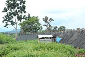 Chủ tịch xã ‘tòm tem’ chủ tịch hội phụ nữ