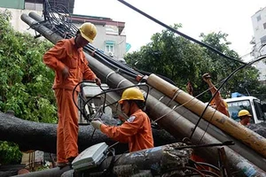 Dự báo bão số 1 chưa sát thực tế