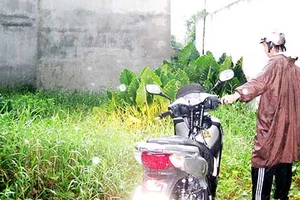 ‘Đẻ’ thủ tục nhà đất làm khổ dân