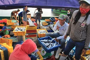 Người miền Trung 'thắt lưng buộc bụng' sau sự cố Formosa