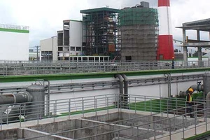 Hậu Giang: 40 lao động chui người Trung Quốc ở Nhà máy giấy Lee&Man? 