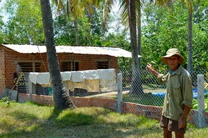 Quảng Nam: Bị phạt vì xây nhà tạm chăn vịt