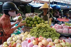 Nở rộ trái cây Trung Quốc núp bóng hàng Việt 