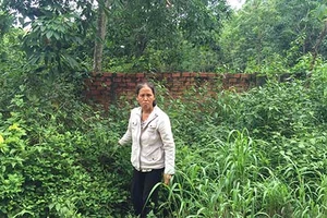 Không rõ địa chỉ bị đơn, phải làm sao?