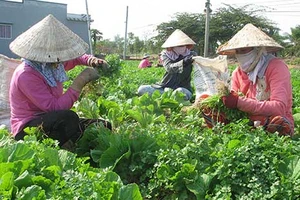 Kêu gọi hiến kế để phát triển đồng bằng sông Cửu Long