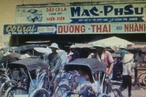 Dầu cù là Mac Phsu: 40 năm bá chủ dầu cao