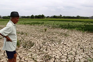 Sông Mekong khóc ròng vì người Trung Quốc 