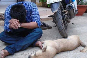 Đánh đập người trộm chó: Do mất niềm tin?