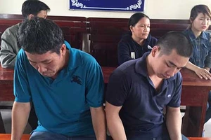 Dừng xe nơi cấm đậu, có bị tội? 