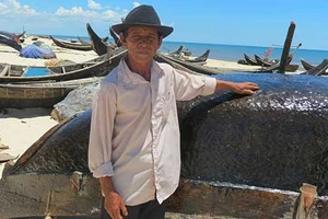 Lấy mẫu cá biển miền Trung kiểm nghiệm độ an toàn