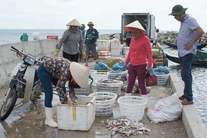 Mất cả triệu USD vì Formosa, doanh nghiệp kêu cứu 