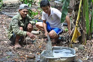 16 trại heo ‘bao vây’ cư dân