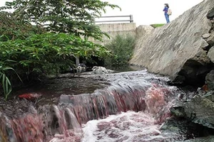 Dân Thủ Đức khóc ròng vì ô nhiễm từ quận 9