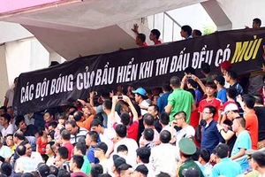 16 năm khoác vỏ chuyên nghiệp