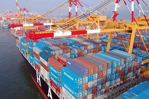 Hãng tàu biển khổng lồ sụp đổ: Nhà xuất khẩu Việt mất ngủ 