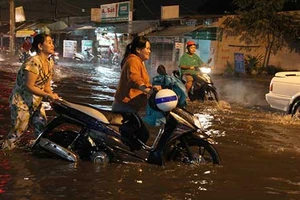 TS-KTS Ngô Viết Nam Sơn: Thiếu phối hợp khiến càng chống càng ngập nặng 