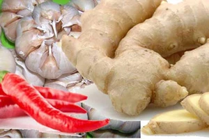 Sợ ung thư thì cứ ăn ớt chung với gừng 