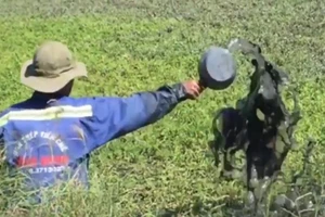 TP.HCM tăng giám sát, ngăn chặn dùng hóa chất tưới rau 