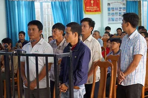 Cưa gỗ khô trong rừng, bị xử tội trộm cắp