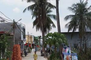 ‘Ngưng tách thửa cho dân là sai’