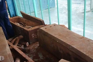 500 kg nghi là ngà voi qua cảng Cát Lái