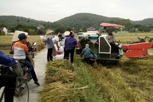 Siêu bão Haima có thể đổi hướng vào Hong Kong