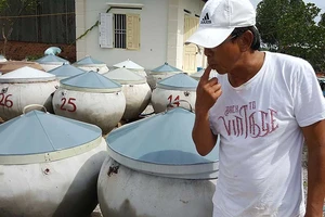 Có cái nắng, có con cá, có hạt muối mới là mắm