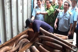 Những chiêu giấu ngà voi ‘bịt mắt’ máy soi