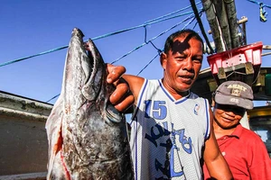 Tàu Trung Quốc còn ở bãi cạn Scarborough