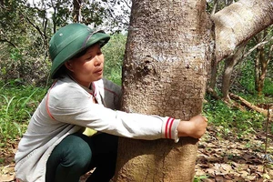 Giao công an điều tra vi phạm của Công ty Long Sơn