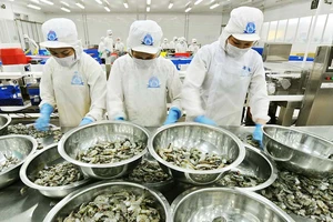 Thủy sản: Cho phép thông quan trước, kiểm dịch sau