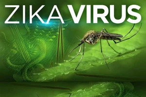 TP.HCM sẽ huy động học sinh chống dịch Zika