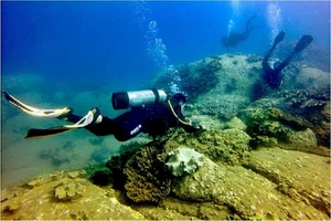 Thuê tư vấn độc lập đánh giá việc đổ thải ở Hòn Cau 