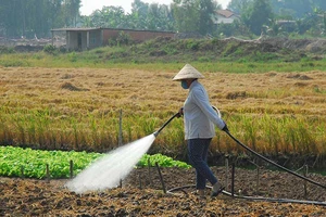 Dân có thể gửi đất đai vào ngân hàng như gửi tiền? 