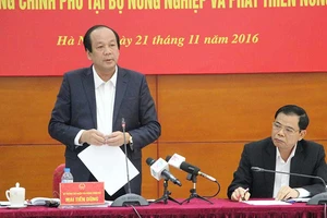 Vụ cấp khống 800 giấy phép: ‘Không chỉ xử lý nội bộ’