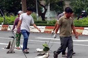 Hoãn xử vụ đòi bồi thường cá chết ở sông Chà Và