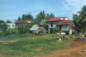 Đất đai mênh mông nhưng vẫn phải cứu đói 