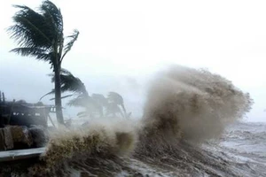 Vì sao ‘bão nữ’ dữ dằn hơn ‘bão nam’?