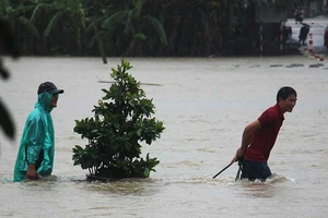 Lũ ở Bình Định làm 4 người chết