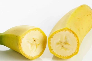 Ăn đúng cách, hết đau dạ dày 