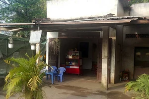 Tranh chấp đất có giấy đỏ, tòa không giải quyết