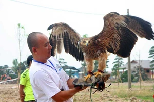 Thú chơi chim... dữ