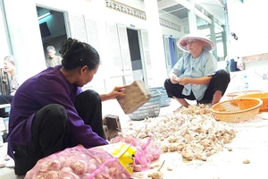 Những người già phải bỏ nhà, xin vào mái ấm