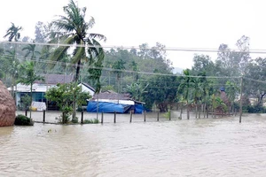 15 người chết, thiệt hại ban đầu khoảng 600 tỉ vì lũ