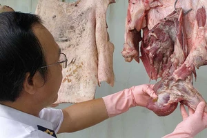 TP.HCM: Một đầu mối để tăng hiệu quả quản lý thực phẩm