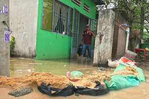 Triều nhỏ cũng ngập do quản lý cống ngăn chưa tốt