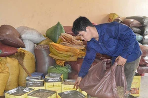 Lao đao vì tiếng oan ‘sản xuất cà phê giả, bẩn’