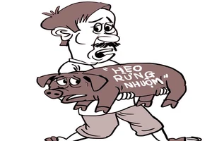 ‘Nhuộm tóc’ cho heo